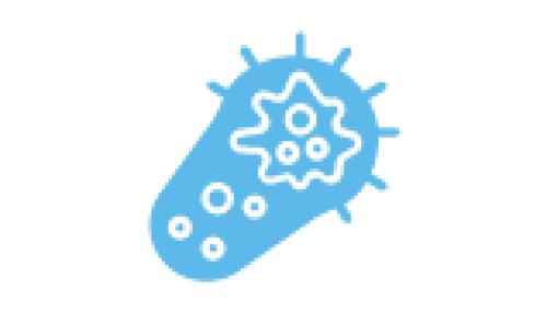 Customized Care Plans_Hyperlipidemia